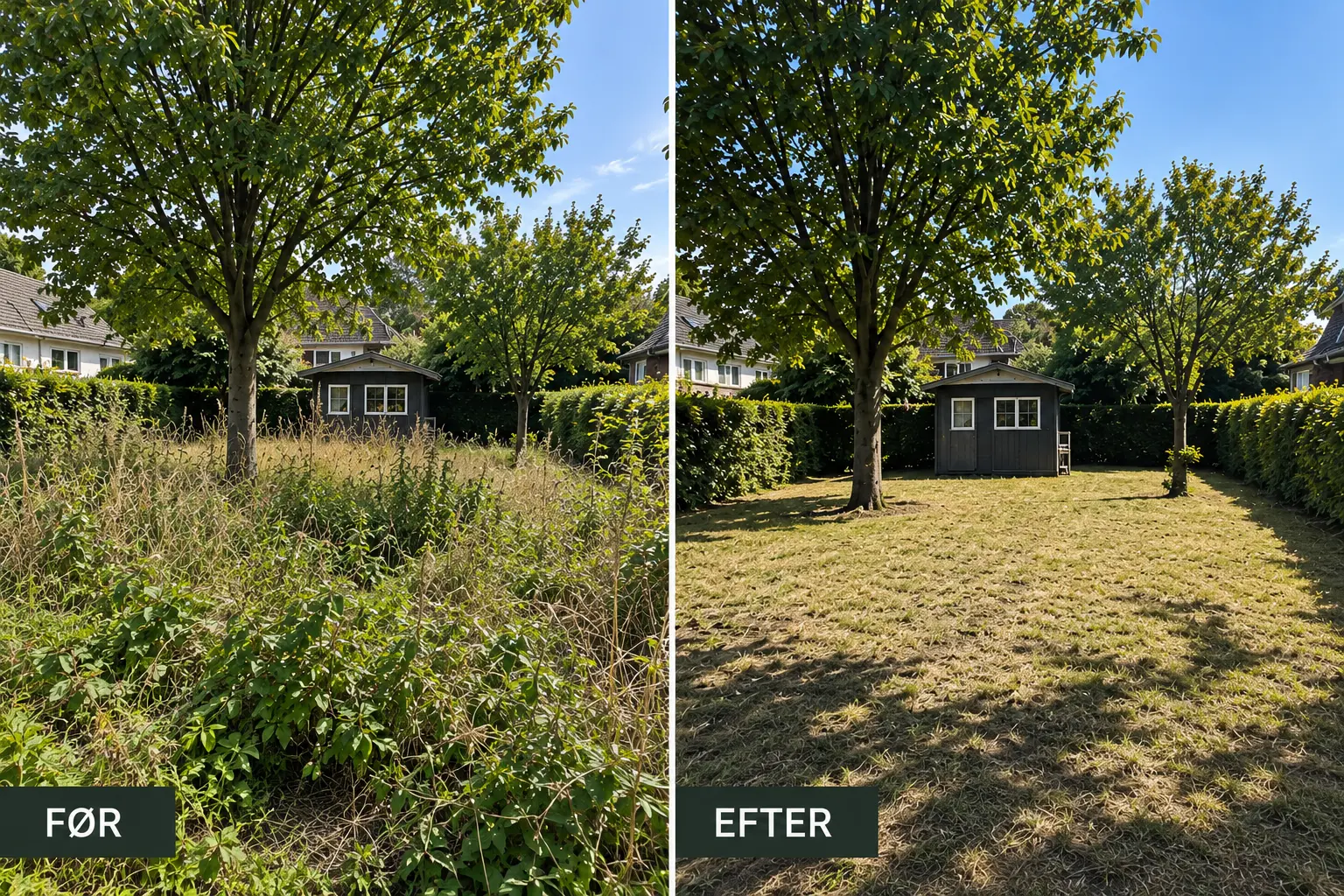 Før og efter haverydning og rydning af tilgroet have på Sjælland